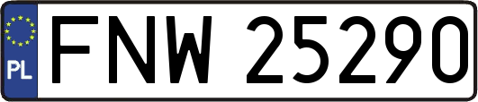 FNW25290