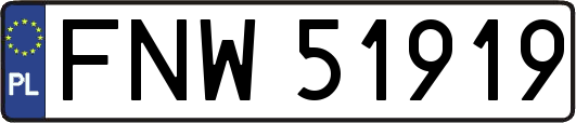 FNW51919