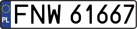 FNW61667