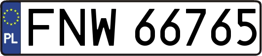 FNW66765