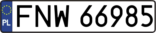 FNW66985