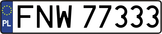 FNW77333