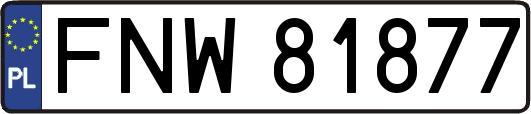 FNW81877