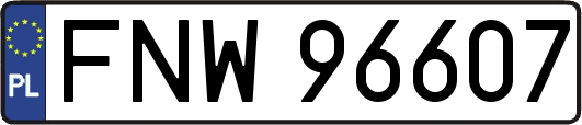 FNW96607