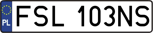 FSL103NS