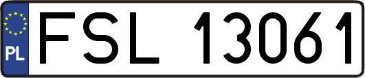 FSL13061