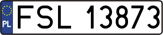 FSL13873