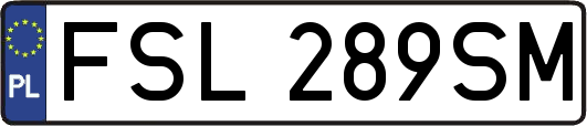 FSL289SM