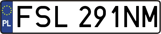 FSL291NM