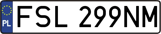 FSL299NM
