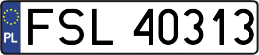 FSL40313