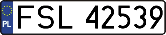 FSL42539