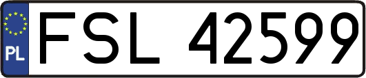 FSL42599