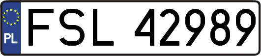 FSL42989