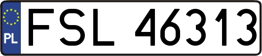 FSL46313