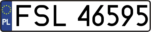 FSL46595
