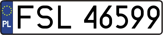 FSL46599