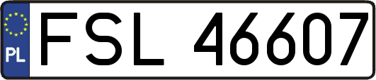 FSL46607