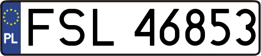 FSL46853