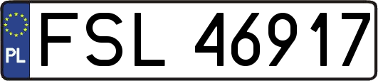 FSL46917