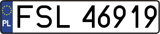 FSL46919