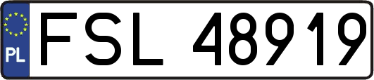 FSL48919