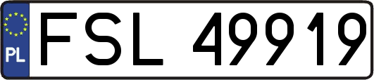 FSL49919