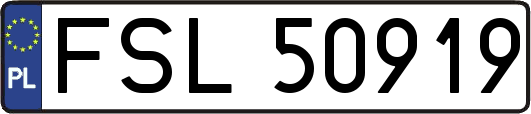 FSL50919