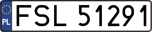FSL51291