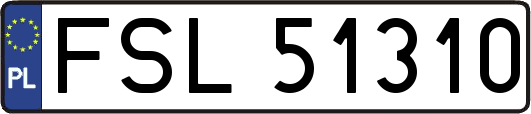 FSL51310