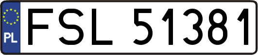 FSL51381
