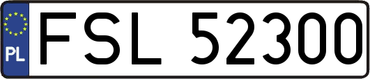 FSL52300