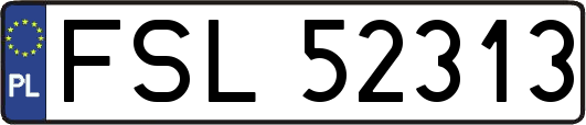 FSL52313