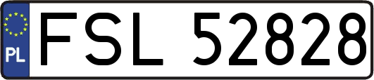 FSL52828