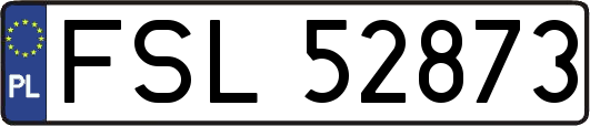 FSL52873