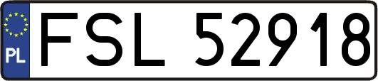 FSL52918