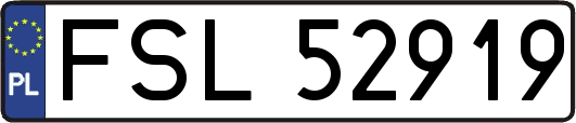 FSL52919