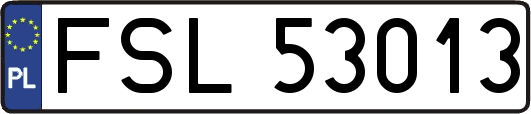 FSL53013