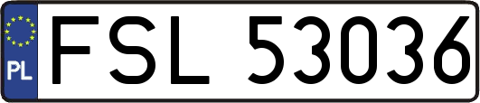 FSL53036