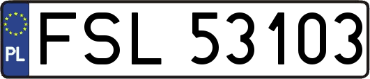 FSL53103