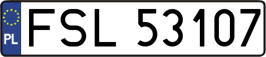 FSL53107
