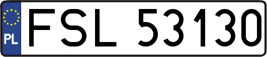 FSL53130