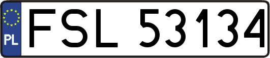 FSL53134