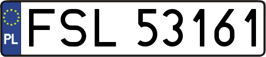 FSL53161
