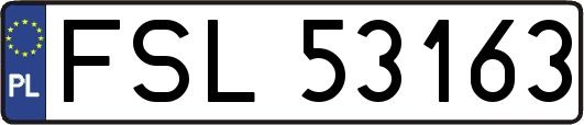 FSL53163