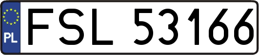 FSL53166