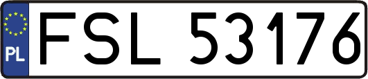 FSL53176