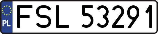 FSL53291
