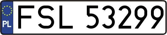 FSL53299