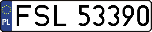 FSL53390